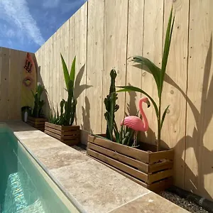 Hébergement de vacances Mas Des Oliviers, Maison Avec Piscine Privative Et Chauffee Locamargue, Les Saintes-Maries-de-la-Mer